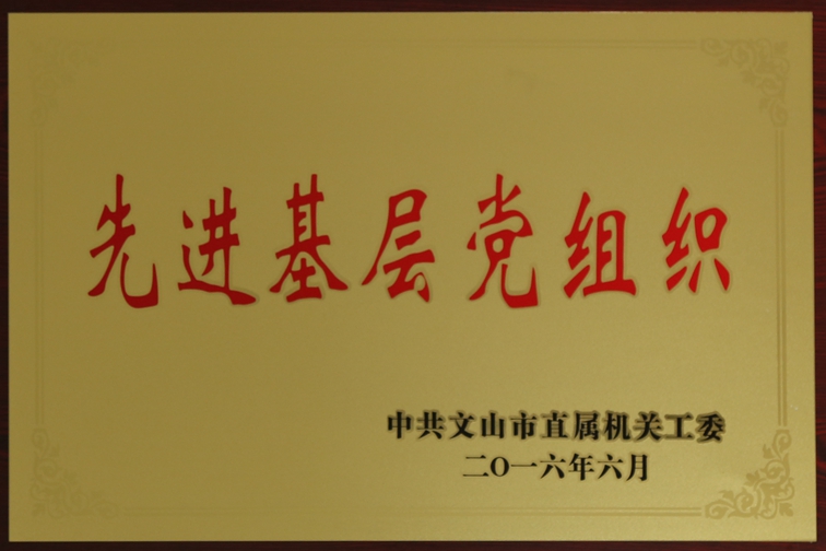 先进基层党组织